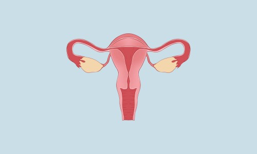 女子使用营养品网-分享女性营养品滋补品，女子使用营养品的好处知识库